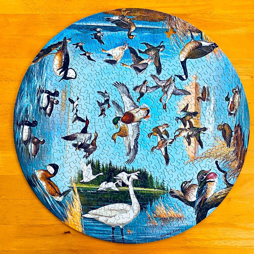 RARE 1966 SPRINGBOK Waterfowl Circular Puzzle